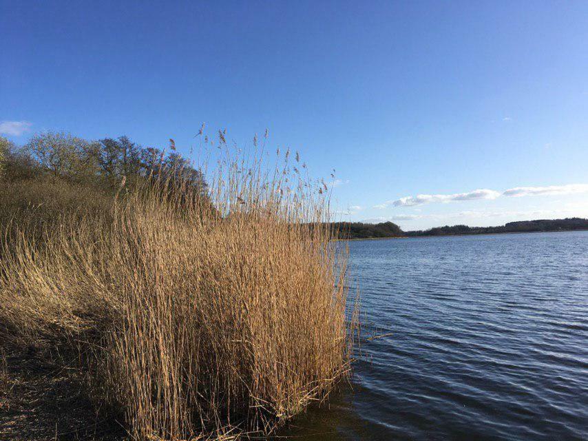 Ferienwohnung Am Noor Nahe Schleswig Und Dem Wikingerdorf Haithabu Фардорф Экстерьер фото