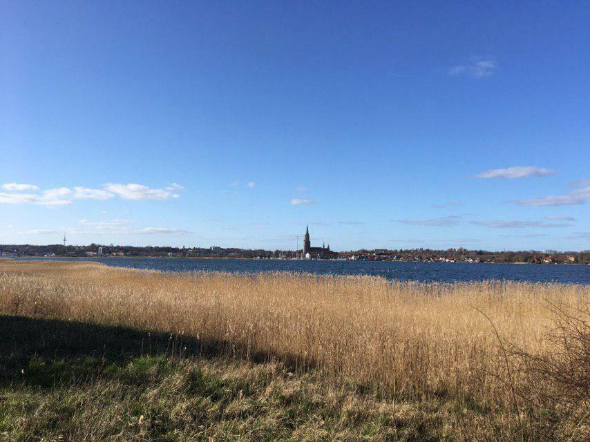 Ferienwohnung Am Noor Nahe Schleswig Und Dem Wikingerdorf Haithabu Фардорф Экстерьер фото